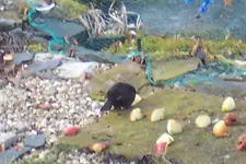 100_3449.JPG
