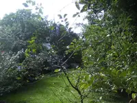 BILD5715.webp