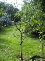 BILD5714.webp