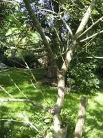 BILD5719.webp