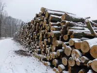 P1040310.webp