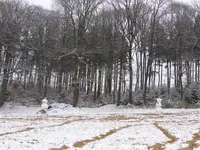 P1040335.webp