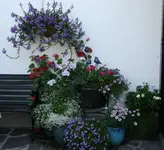 014.webp