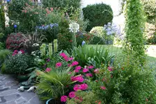 Terasse0815.webp