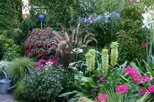 Terasse0915.webp