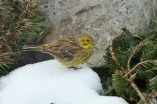 DSCF8544 (2).webp