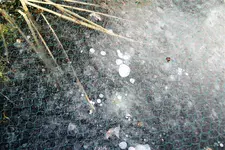 100_3468.webp