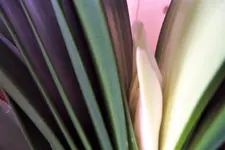 100_3469.webp