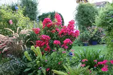 Terasse2815.webp