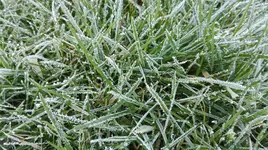 IMG-20170215-WA0002.webp