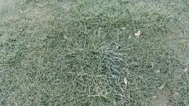 IMG-20170215-WA0003.webp