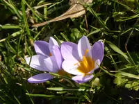 P1040400.webp