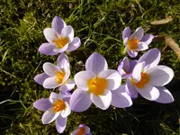 P1040415.webp