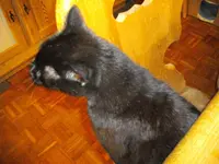 IMGP4560.webp