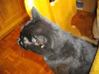 IMGP4561.webp