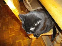 IMGP4563.webp