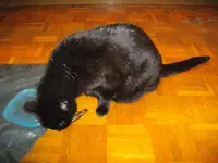 IMGP4555.webp