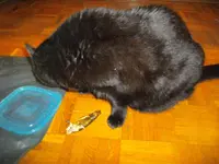 IMGP4556.webp
