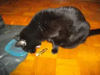 IMGP4557.webp