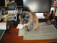 IMGP4559.webp
