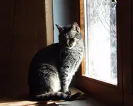 P4030010.webp