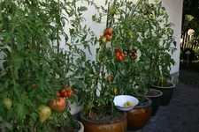 August0416.jpg