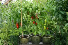 EM-Vortrag2016 054.webp