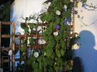 BILD2498.webp
