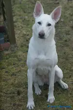 comp_DSC06168.webp