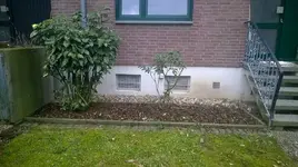WP_20170218_004.webp