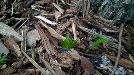 WP_20170218_007.webp