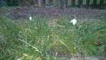 WP_20170218_005.jpg