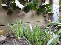 P1000216.webp