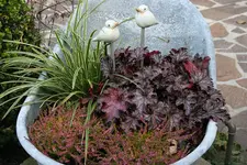 Herbstzauber1011.webp