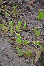 DSC_9202.webp