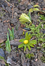 DSC_9196.webp