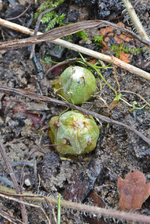 DSC_9201.JPG