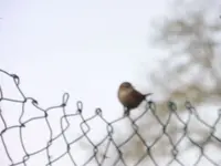 P1270810.webp