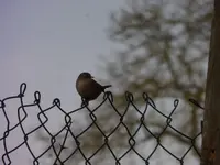 P1270811.webp