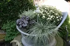 Herbstzauber1112.webp
