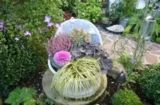 Herbstzauber0109a.webp