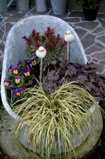 Herbstzauber0106a.webp