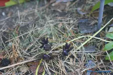 comp_DSC06179.webp