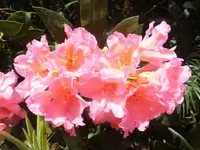 Bilda029.webp