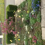 IMG_1064.webp