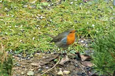 DSCF8554 (2).webp