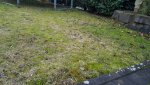 20170220_081510.jpg