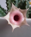 20170221_091408.jpg