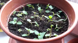 20170221_112023.webp