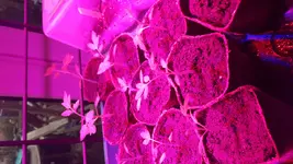 20170219_160645.webp